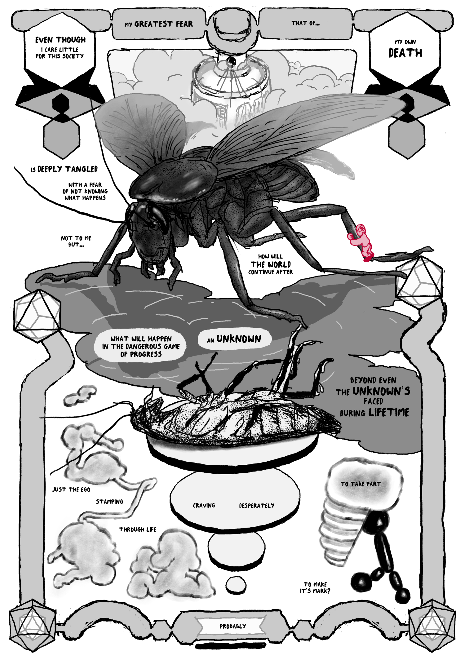 ana's insects